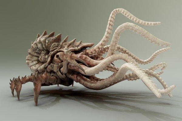 Kraken 4 ссылка