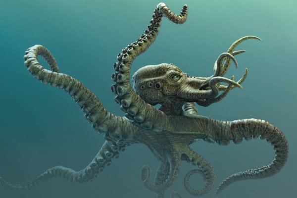 Kraken forum