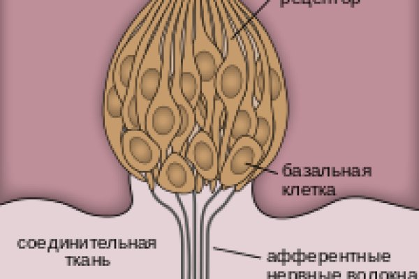 Кракен сайт kr2web in официальный ссылка