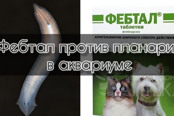 Кракен маркетплейс ссылка телеграмм