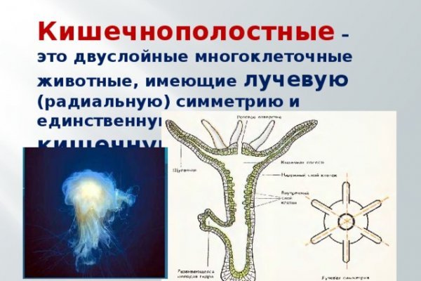 Кракен даркнет отменился заказ